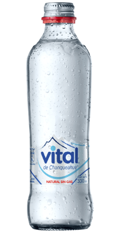 AGUA MINERAL SIN GAS 330 ml